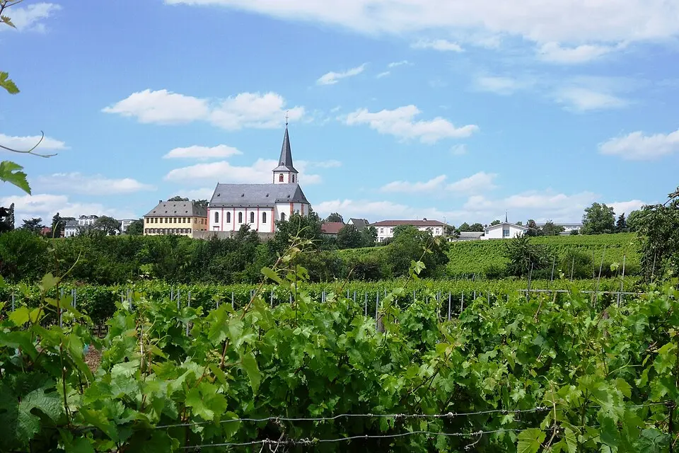 Hochheim am Main – city view