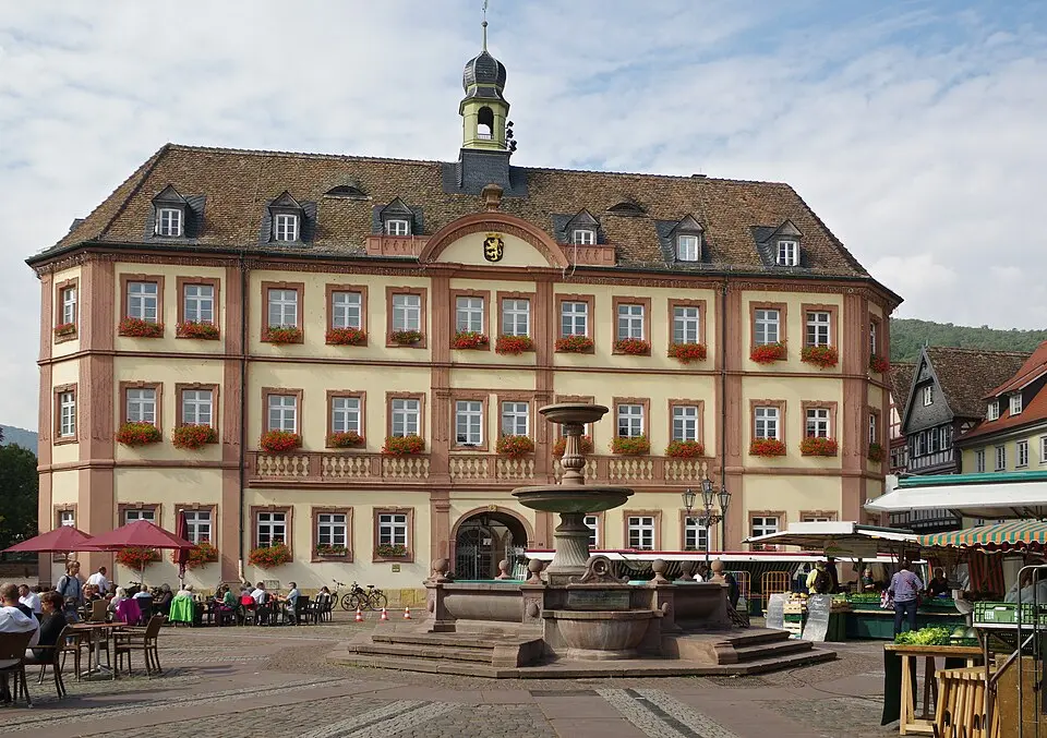 Neustadt an der Weinstraße – city view