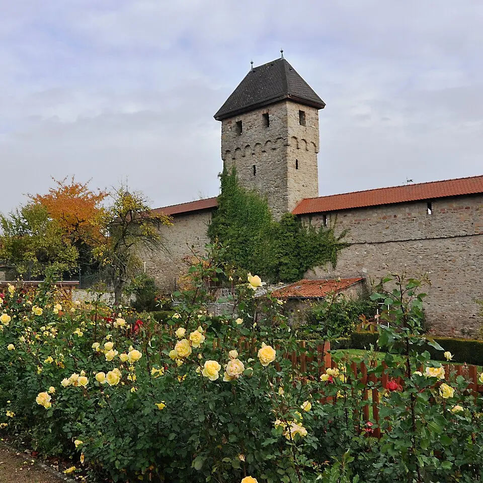 Kirchheimbolanden – city view
