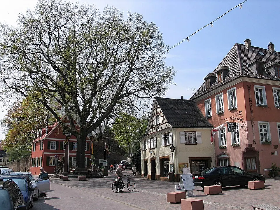 Nierstein – city view