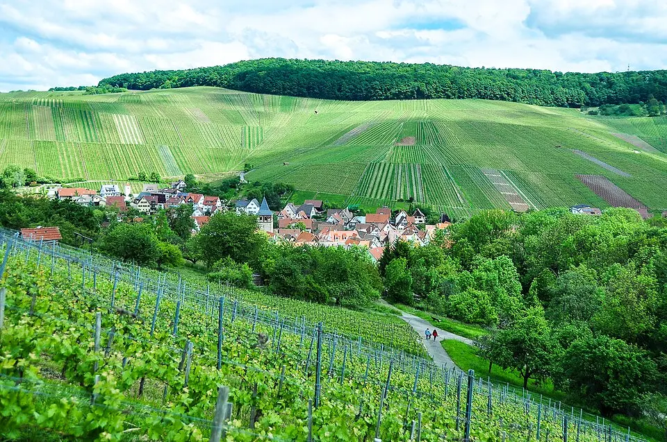 Weinstadt – city view