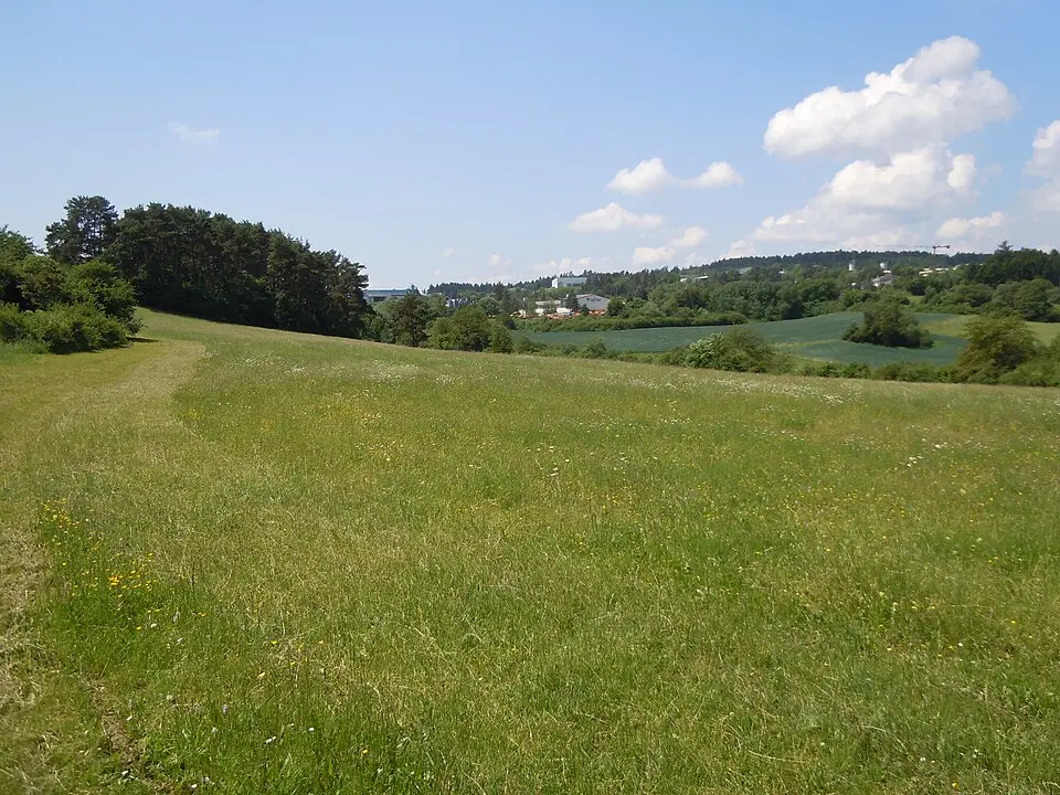 Haiterbach – city view