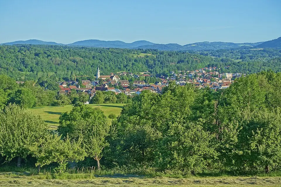 Wehr – city view